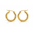 Stainless Steel Double Hoop Gold Twisted Earrings for Women